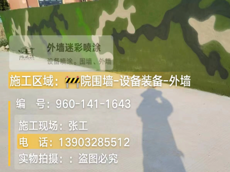 呼伦贝尔 迷彩漆喷涂价格（按平方米计费）