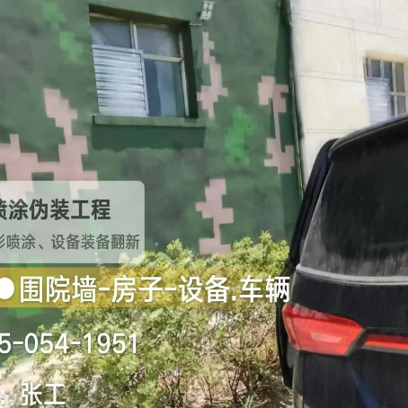 呼伦贝尔数码迷彩漆施工